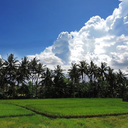 Pondok Ayu Soca Ubud  Luaran gambar