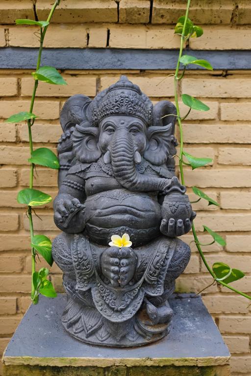 Pondok Ayu Soca Ubud  Luaran gambar